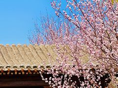 -三里河公园