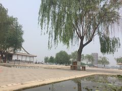 -白洋淀景区