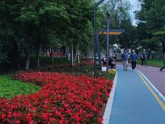 -黛秀湖公园