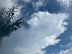 -上海玛雅海滩水公园