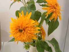 -上海静和门诊部