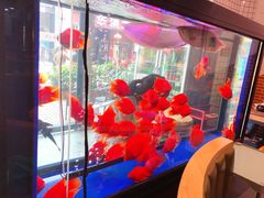 -釜山火炉韩式炭火烤肉(欧洲城店)