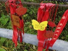 -江西阳明山国家森林公园