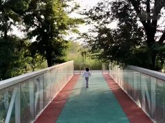 -永定河休闲森林公园