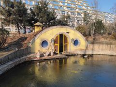 -南宫五洲植物乐园