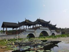 -上海海湾国家森林公园