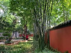 -成都武侯祠博物馆