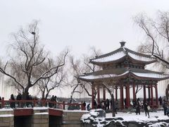 -颐和园