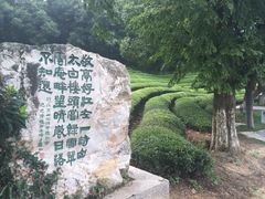 iphone_upload_pic-敬亭山风景名胜区