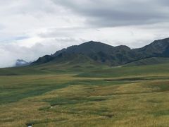 -郭莽湿地