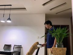 -东方名猫馆·英短金渐层布偶猫舍(环线广场1号楼店)