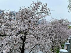 -成都濑川外国语学校