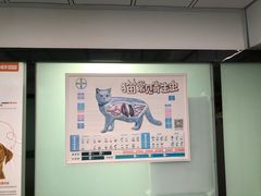 -半岛宠物医院24小时(科华中路店)