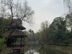 -老桂湖公园-杨升庵博物馆