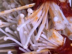 -阿串串老火锅(力盟店)