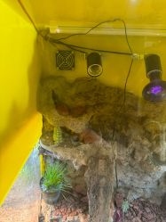 -神奇动物撸宠馆·羊驼·小浣熊·异宠(豫园店)
