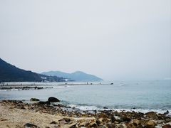 -杨梅坑