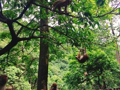 -黔灵山公园-南门售票处