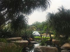 -佛山顺德金茂华美达广场大酒店