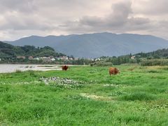 -四明湖