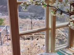 -崂山九水游览区