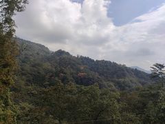-青城山