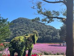 -广州市石门国家森林公园