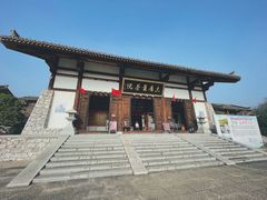 -大唐贡茶院