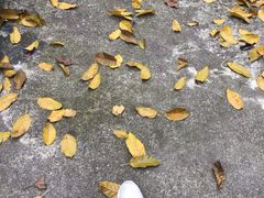 -晓港公园