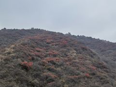 -水峪民俗村