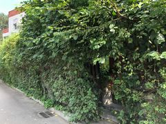 入口-斯多格书乡(北京大学畅春园店)