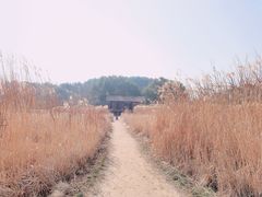 -良渚古城遗址公园