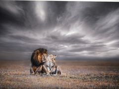 -罗红摄影艺术馆