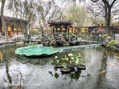 -白家大院·王府宫廷菜(苏州街店)