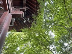 -杭州半山国家森林公园