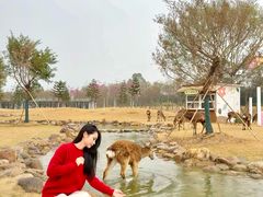 -盈香心动乐园
