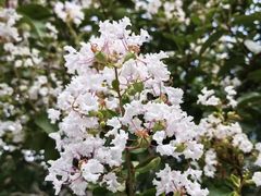 -杭州城北体育公园