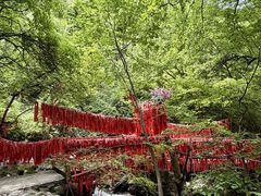 -红崖峡谷景区