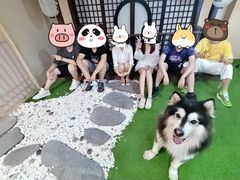 -白兔子密室(长寿路店)