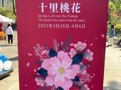 -南汇桃花村