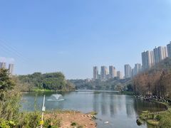 -重庆彩云湖湿地公园