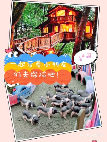 春暖花开带着小朋友出来一起感受大自然吧!