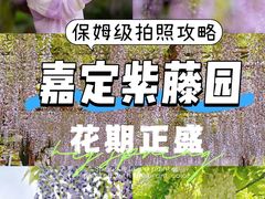 -嘉定紫藤园