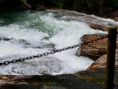 -广州白江湖森林公园