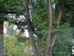 -J Create城市露营咖啡·简餐·宠物(上海动物园店)