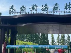 -黄海国家森林公园