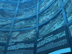 -中国西峡恐龙遗迹园
