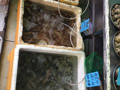 -有间冰室(侨港风情街店)