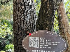 -黑龙潭公园