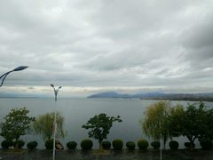-恋羊时代黑山羊火锅(滨海大道店)